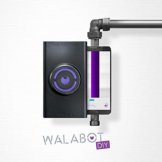 Walabot DIY Test
